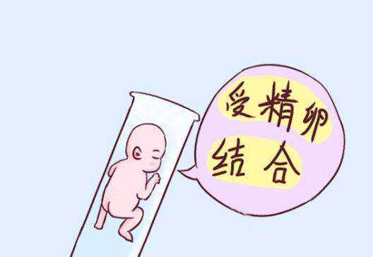 南京代孕哪家口碑好,试管婴儿真的寿命短吗-南京试管供卵代生包男孩-精子在输